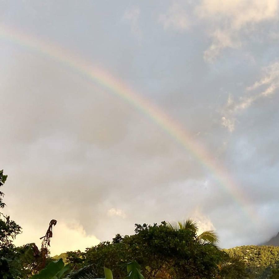 Casa Tia Rosa Hospedagem Familiar Guapimirim Exteriér fotografie